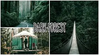 Edit Foto Ala Selebgram | Dark Forest | Lightroom cc tutorial