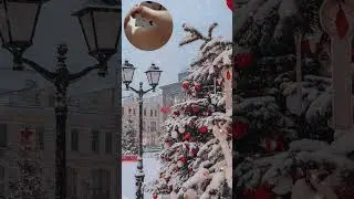 адвент календарь | день 24