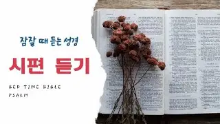 성경asmr_잠잘 때 듣는 성경,시편  Bedtime Bible