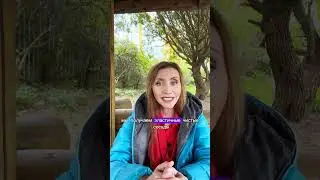 можно ли почистить сосуды без лекарств?