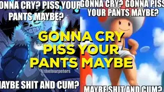 Gonna Cry Maybe Piss Your Pants Meme Compilation