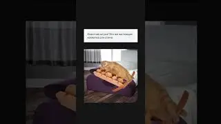 С чем ассоциируется наш массажер у вас? 😂 #short #shorts #drevmass #древмасс