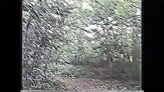 Video clip from the VHS tape I found in the dumpster behind Walmart pt.3