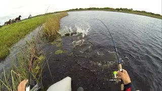 Рыбалка на щуку в Ирландии: секреты и советы. Pike fishing in Ireland: tips & tricks.
