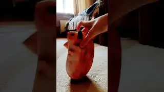 4 февраля 2024 г.