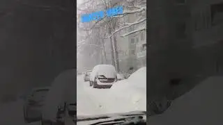 Winter vibes in Russia St. Petersburg