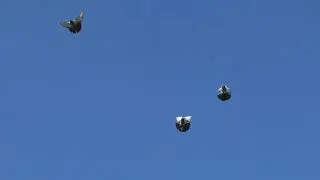 первые подкидки молодежи  23 05 21