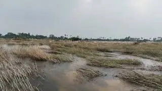 Arani River #river #water