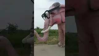 Pinkie the elephant - Deforest Wi