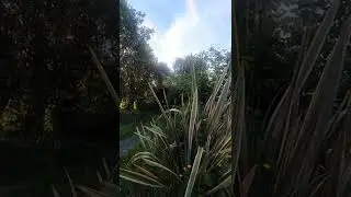 tenpo monsuta ponwa!