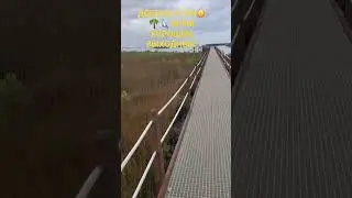 Как я провожу утро в пятницу в сша