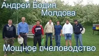 Пчеловодство Андрея Бодина. Молдавское пчеловодство
