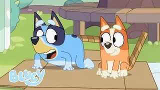 🔴EN VIVO: Diversión de Pascua con los Heelers 🌸 🐣 | Bluey
