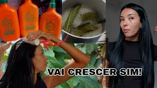 Testei o famoso chá que cresce o cabelo pela 1° vez! Um dia de cronograma comigo, lavagem completa 💕