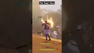 the parry team (candace beidou, yun jin) 