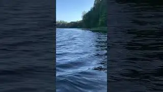 Лодка. Река Оредеж. Рождествено. (9)