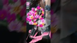 С праздником 8 марта mlbb 
