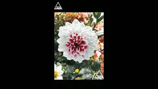 Lightroom Tutorial