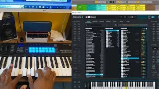 Refx Nexus 4 vst Strings Sections