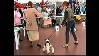 ХХ 09 2000   Выставка Россия 2000