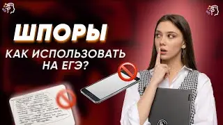 Стоит ли брать шпаргалки на ЕГЭ по русскому языку?