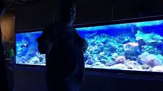 My 10 Foot Long Salt Water Aquarium