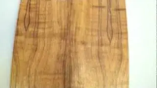 Arbor Koa Bug Longboard Review