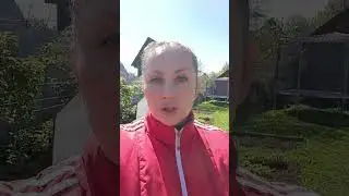 Новая жизнь старому парнику 