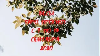 ВЕСЫ Таро прогноз с 7 по 13 СЕНТЯБРЯ 2020