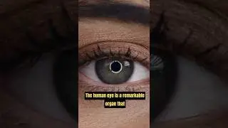 HUMAN EYE . #eyes #facts #shorts #didyouknow #mustwatch #eyefacts #viral #viralshorts #didyouknow