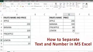 How to Separate Text and Number in MS Excel