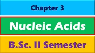 Nucleic Acids | BSc Second Semester Chemistry | Chemistry of Nucleic Acid in Hindi