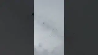 Голуби дяди Саши с.Кобзарцы