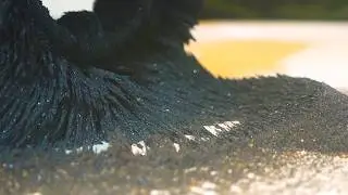 Cool Experiment : Iron Sand  + Magnet