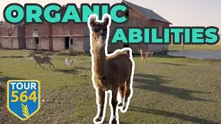 Organic Abilities | Tour 564