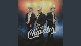 Palabras Falsas (En Vivo)