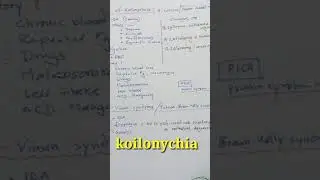 koilonychia causes, stages.  plummer-Vinson syndrome.