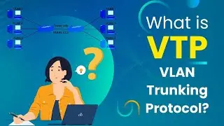 Mastering Native VLAN and VTP: Essential Networking Concepts | #tech_with_kamaal | #technology