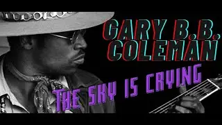 Black voice Blues (Gary B.B. Coleman)