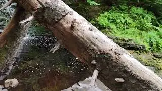 Byklevsfallet i Hunneberg, Vargön.