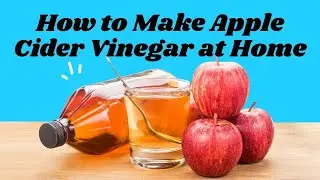 How to Make Apple Cider Vinegar at Home | Apple Cider Making Processing | Natural Cures System