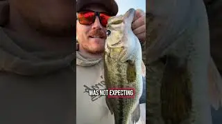 MOTOR PROBLEMS AND SOLO BASS FISHING ON WET ROY (caught a hog)