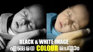 How to Change Black and White into Color Photo in Adobe Photoshop [ Brush tool ]