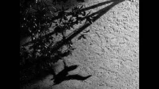 Max Richter - The Trees