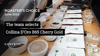 Roaster's Choice June 24 - Collina D’Oro B65 Cherry Gold