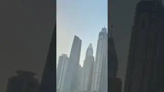 Dubai Harbour fishing!