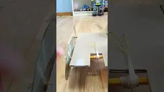 2024 Science Buddies Engineering Challenge 