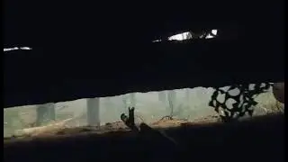 Бой в лесу под кКрименной