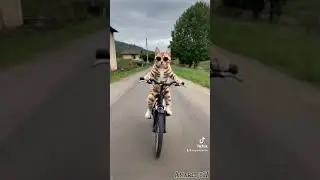 1 сентября 2024 г.