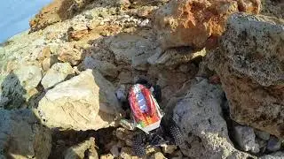 Новая резина Rocks Swamper и новые диски с алюминиевыми хексами